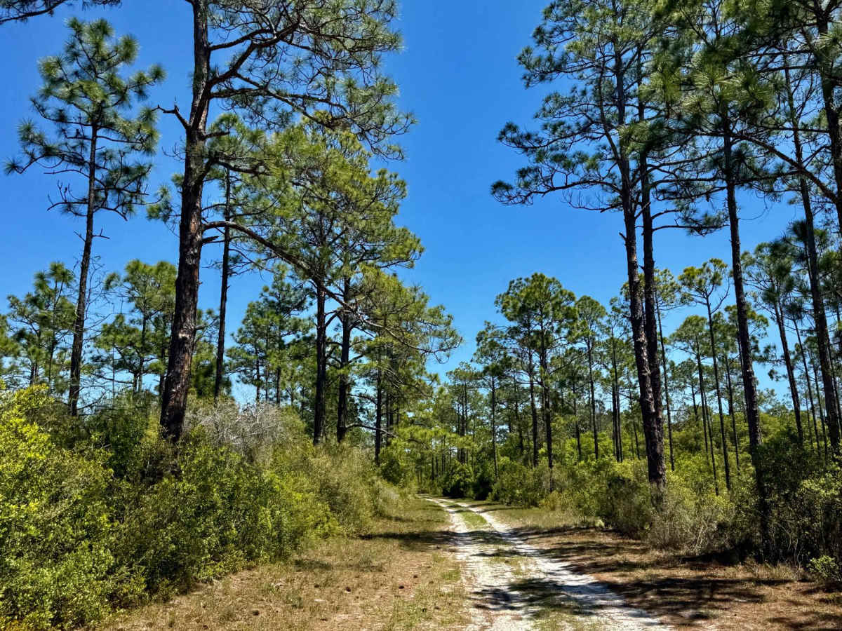 Road Camp Road photo 6
