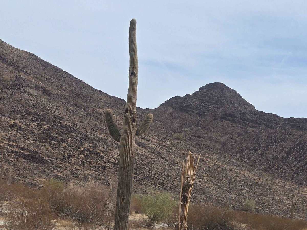 Black Rock Trail photo 6