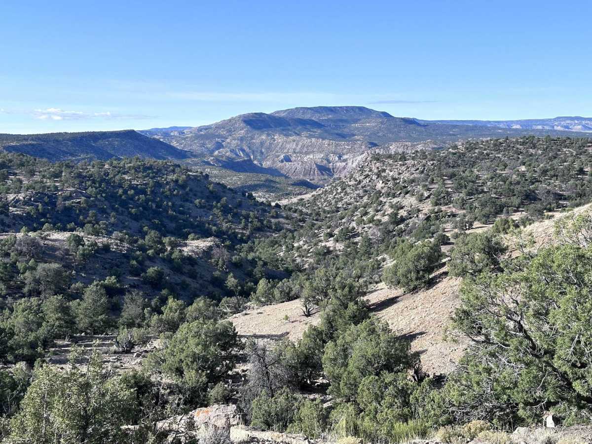 Verde Loop Trail photo 5