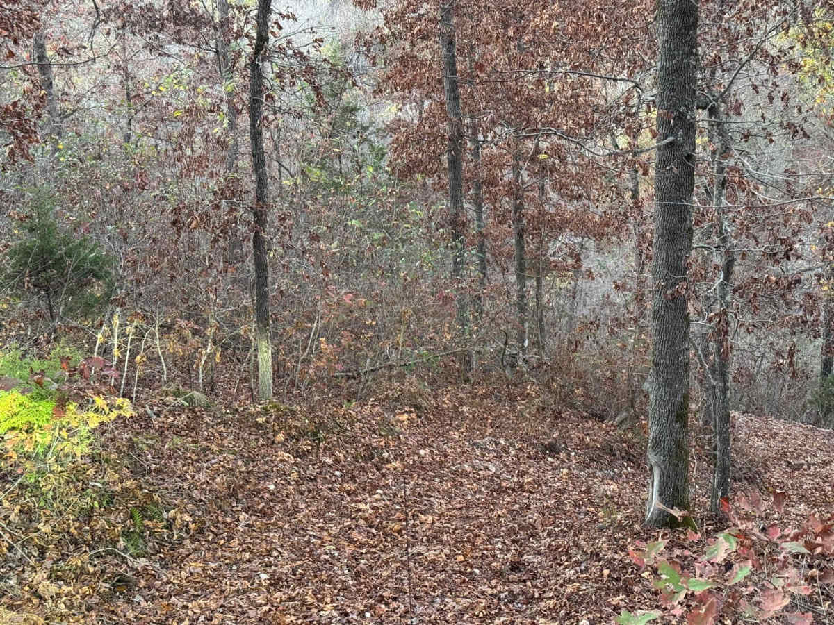 Red 161 trail photo