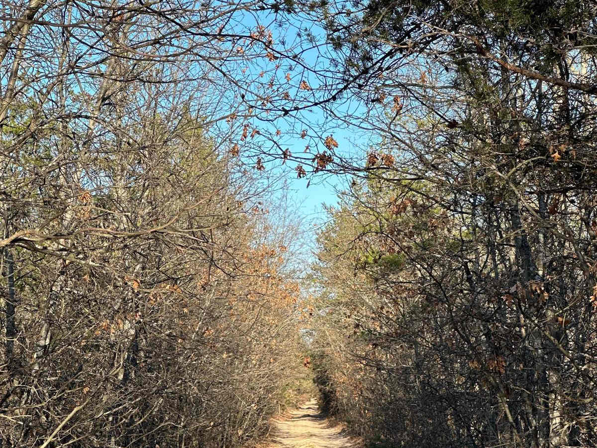 Fawn Road photo 6