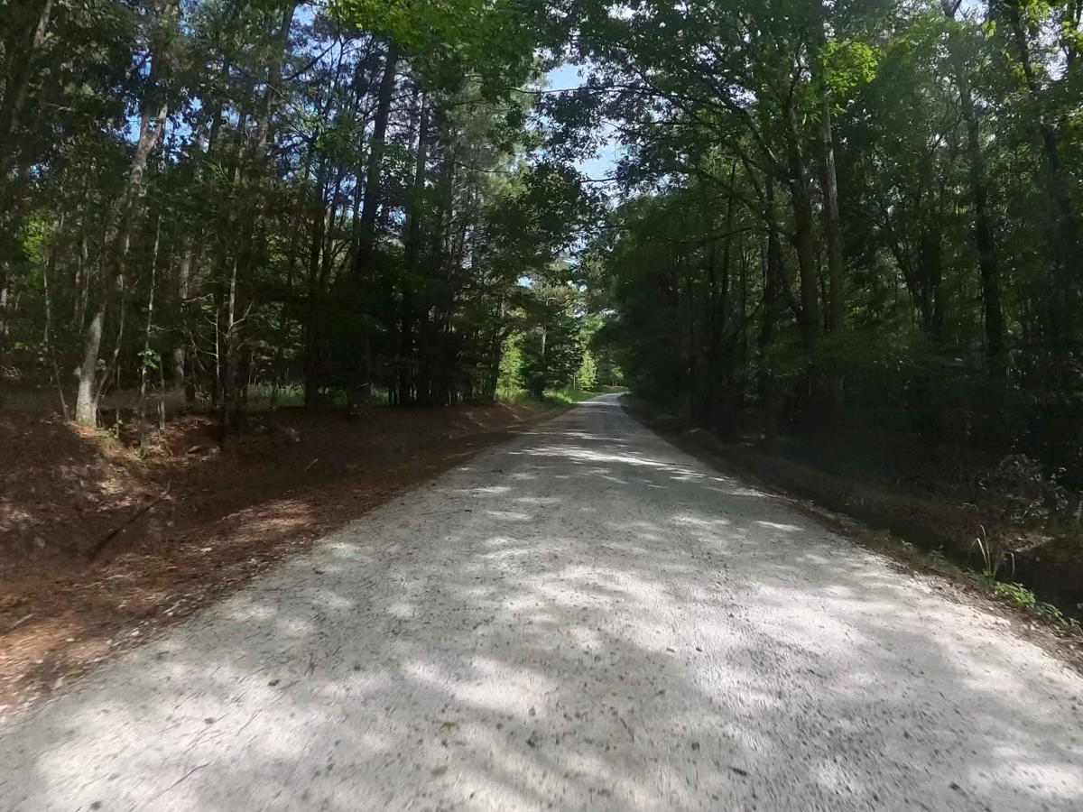 Bishop Road photo 4