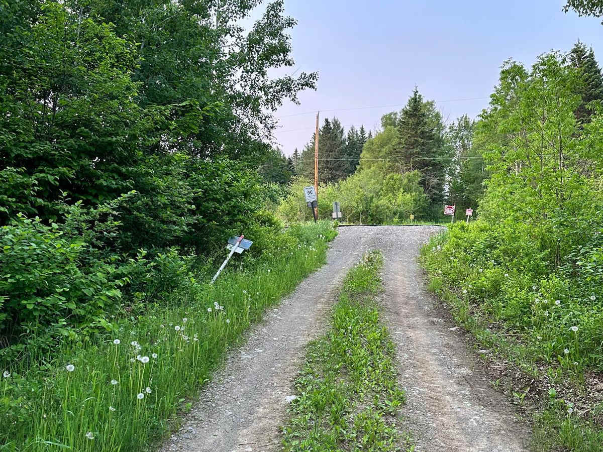 Michaud Woods photo 2