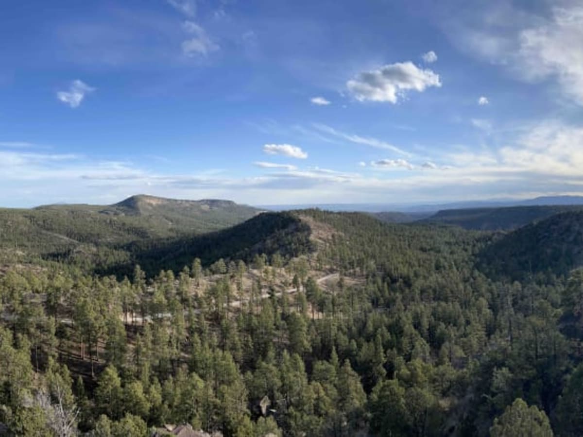 Bear Springs Road 266 photo 2