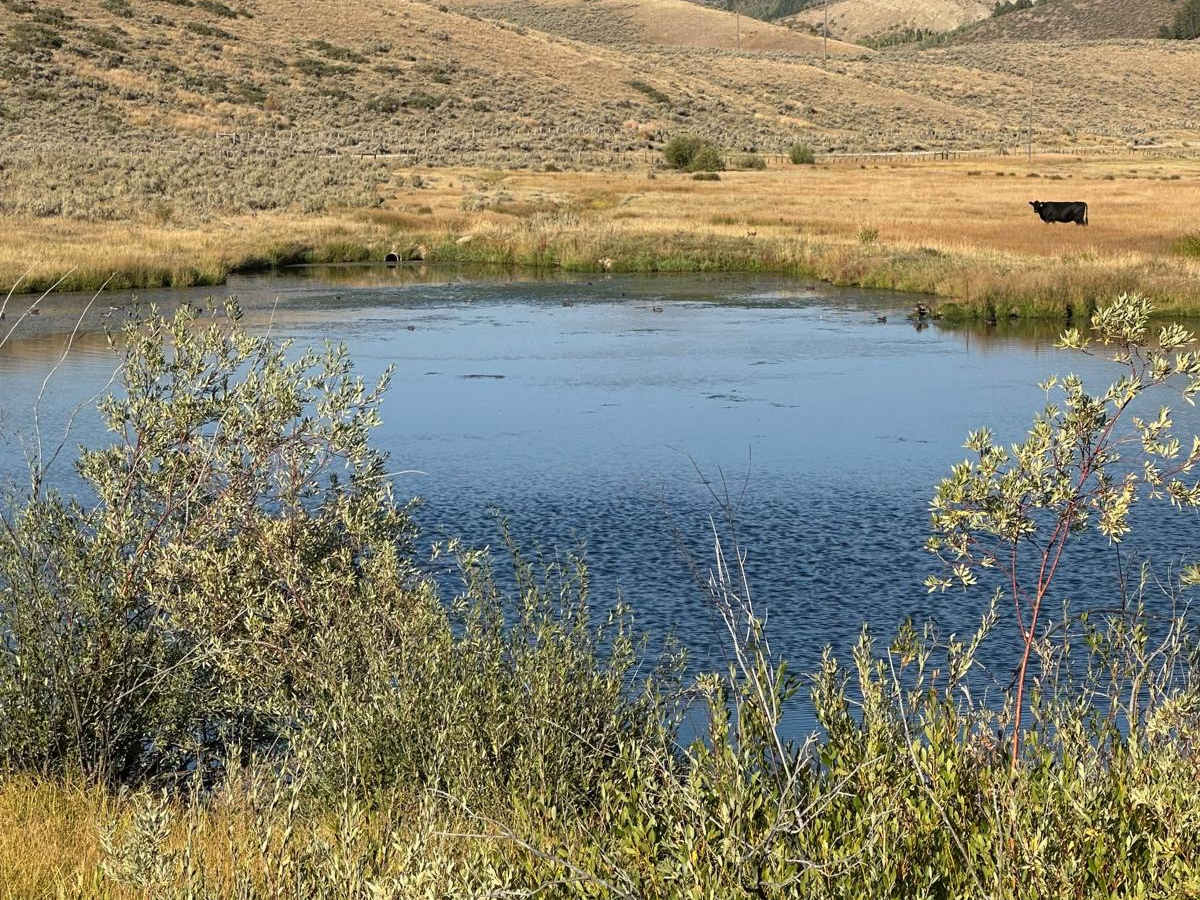 Crow Creek photo 5
