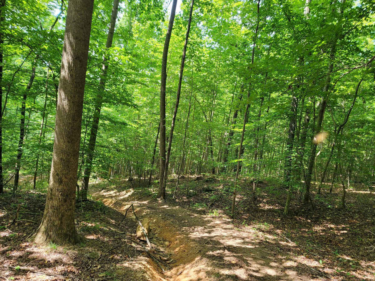 6 - Descension photo 4