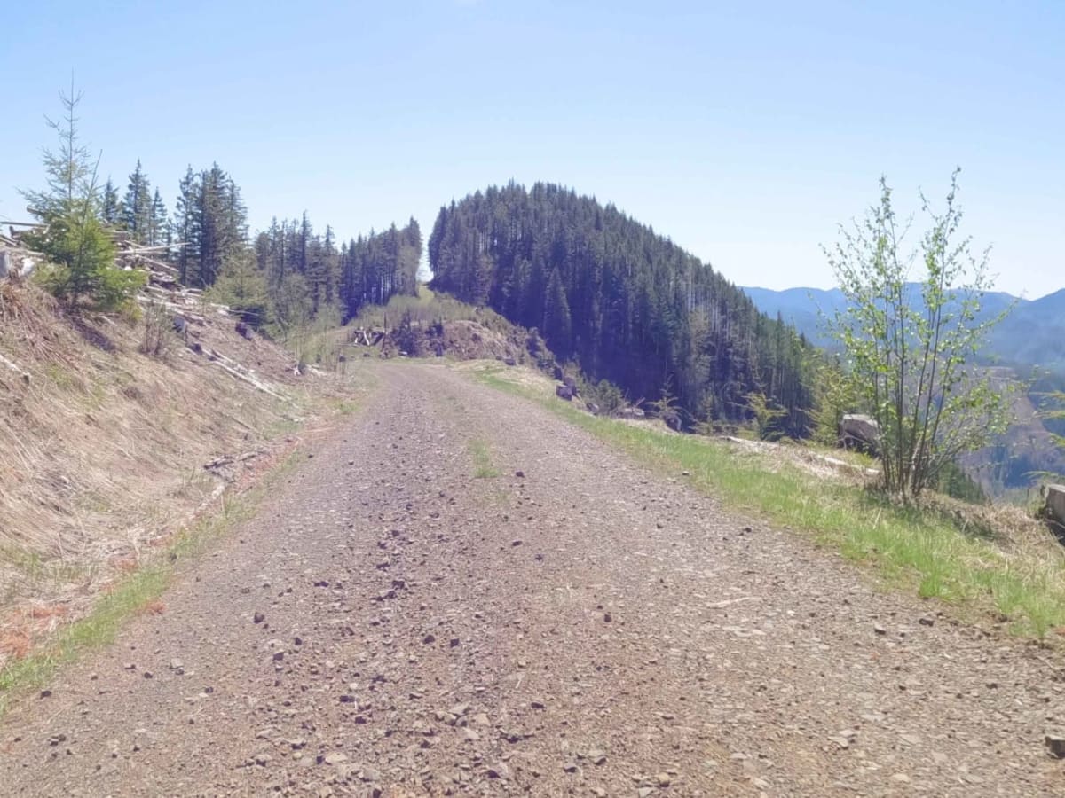 ZigZag Road - North photo 4