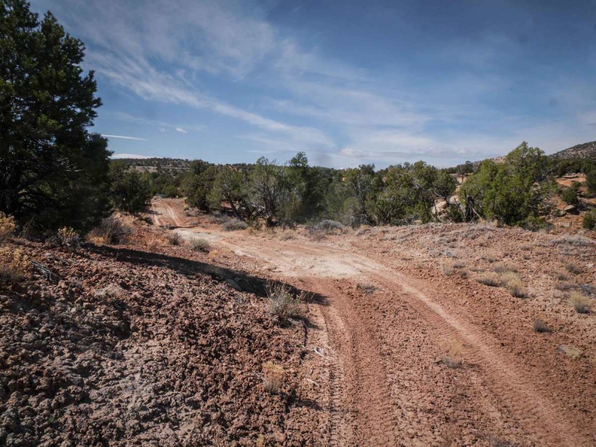 Trail 2 photo 6
