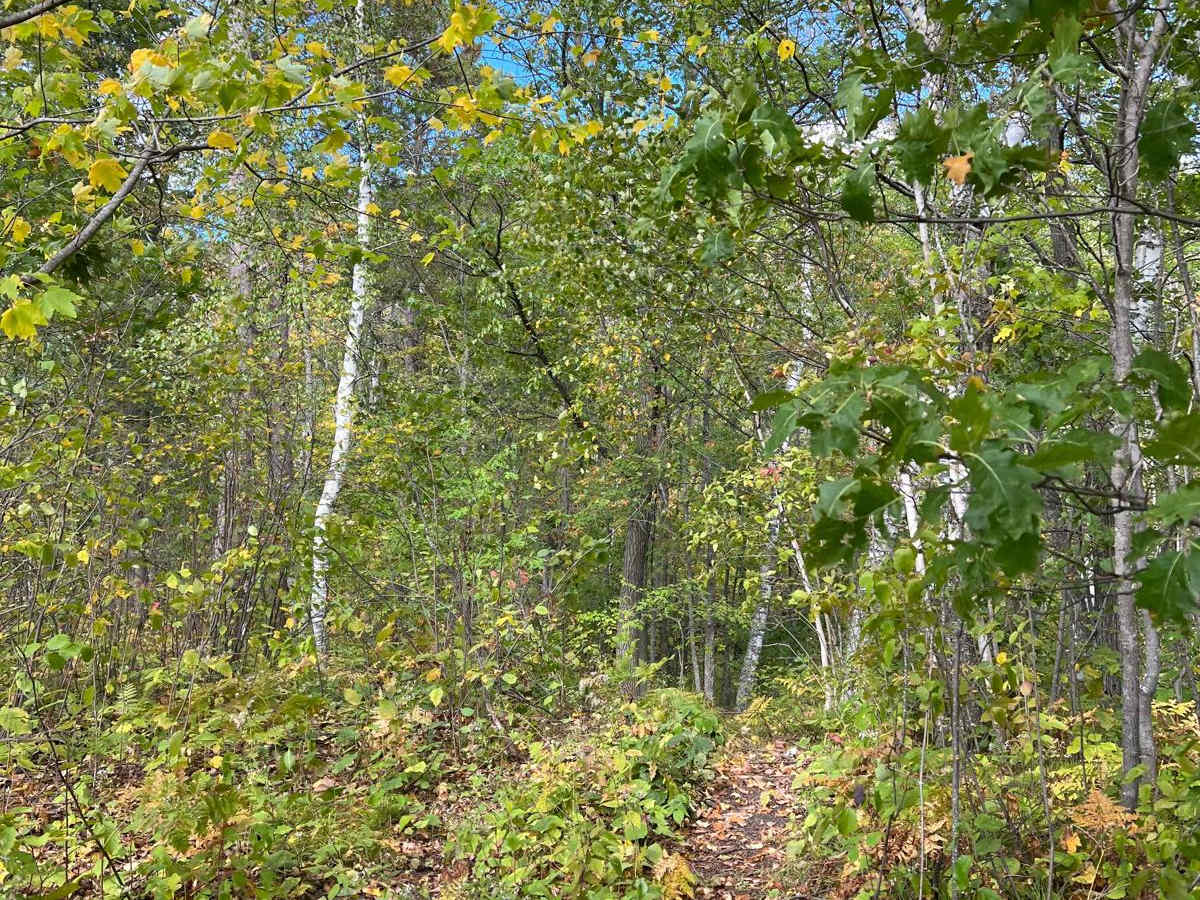 Foot Hills North Lake Loop photo 2