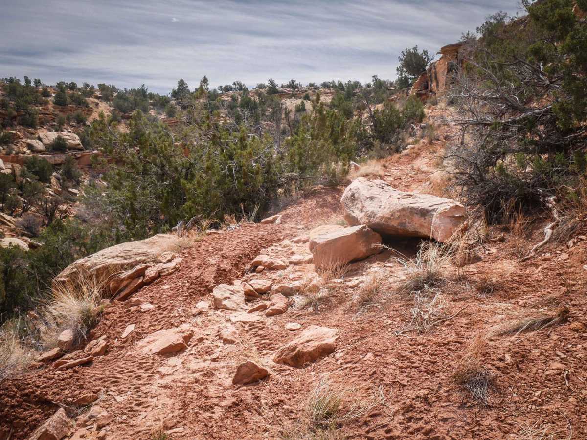Shumway Mines trail photo