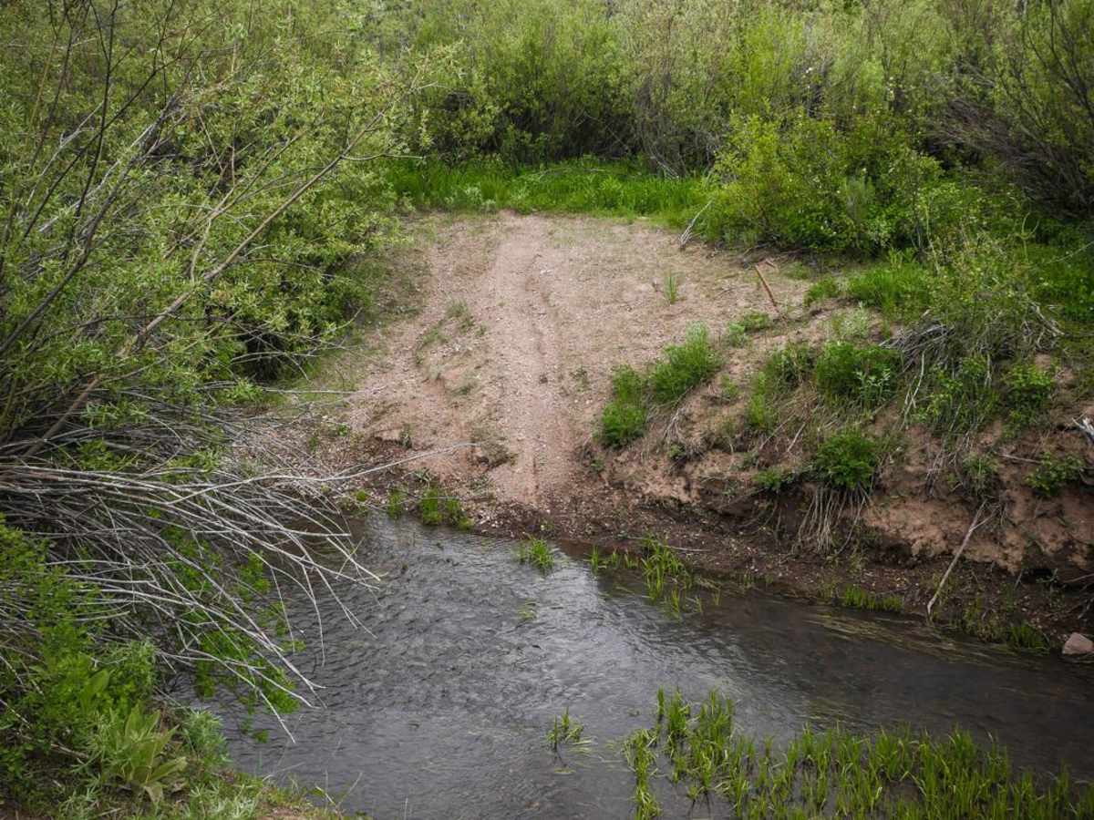 Middle Fork Shoshone Creek trail photo