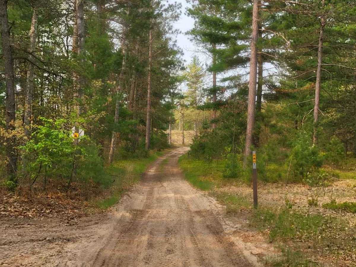 Ogemaw Hills ORV Route photo 2