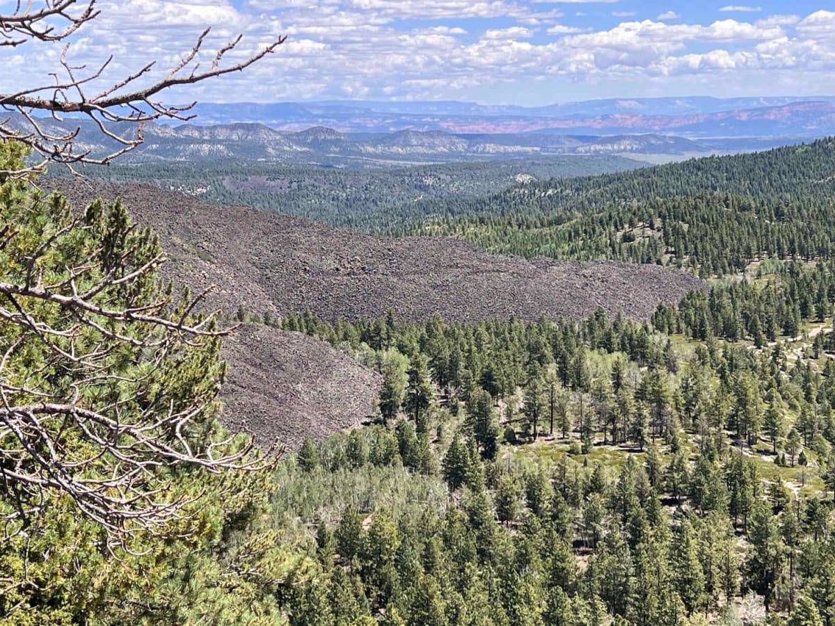 Birch Spring Pass Creek - BLM32000.3 photo 3
