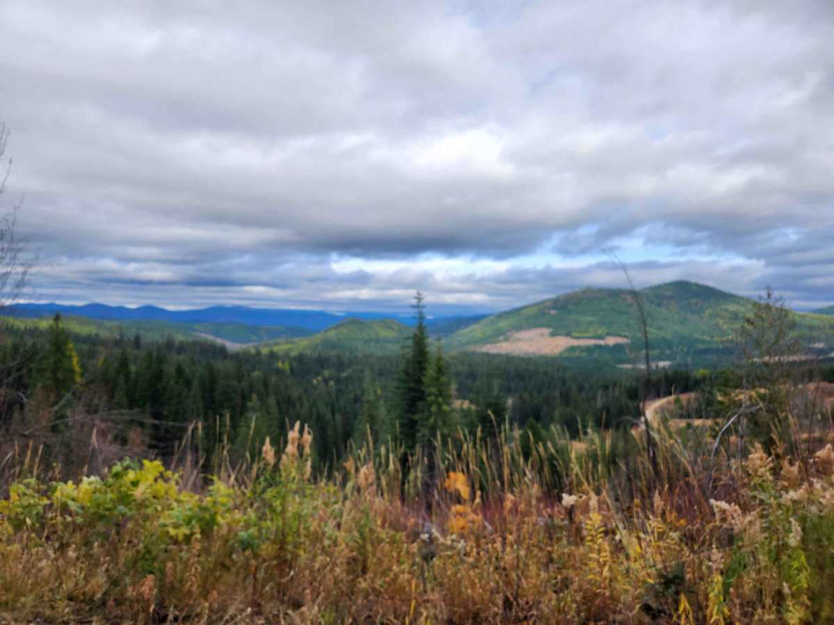 Fishhook-Gold Center trail photo