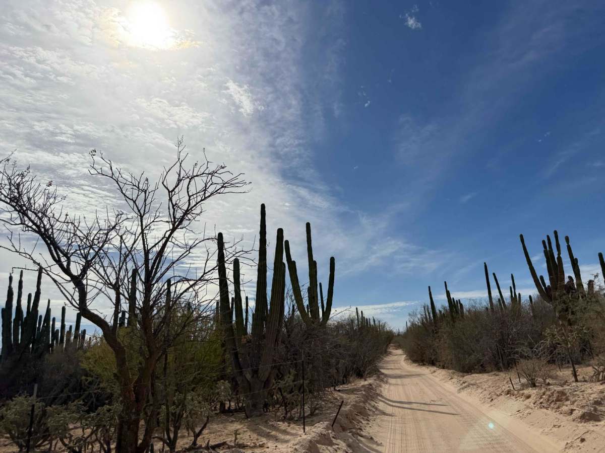South of Los Planes/ San Blas Connecting Trail photo 2