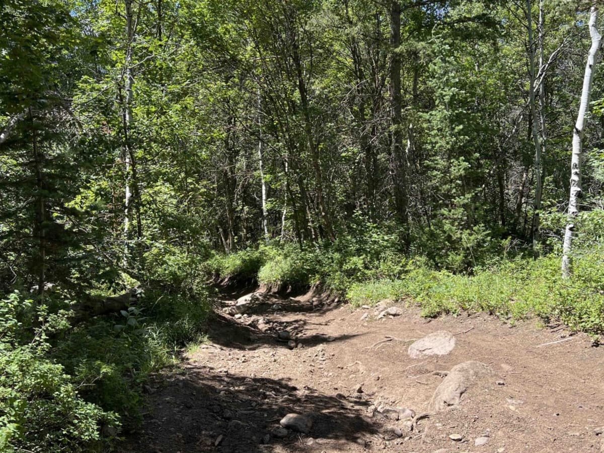 Mud Springs (2173) photo 2