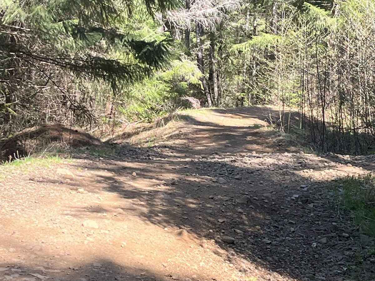 Brown's Powerline Connector photo 3