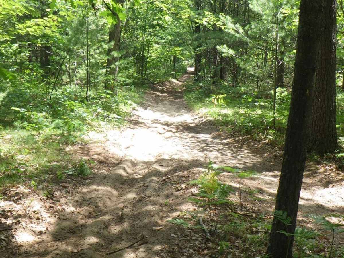 West Higgins Trail - North Cutoff, 14488, 18136, 14483, and 14484 photo 2