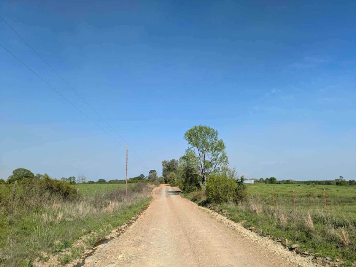 Route 4 trail photo