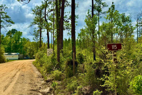 Big Cypress - FS 115
