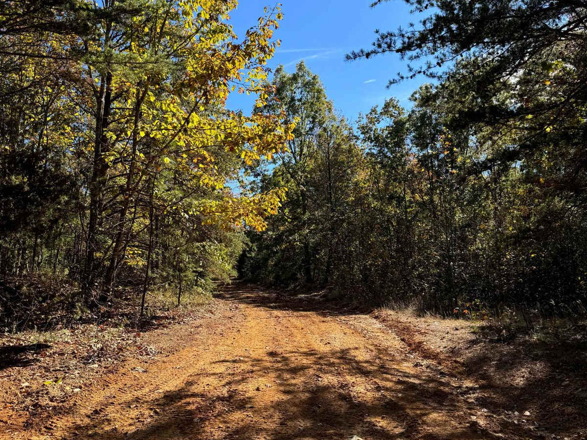 #81 Ridgeline Trail photo 2