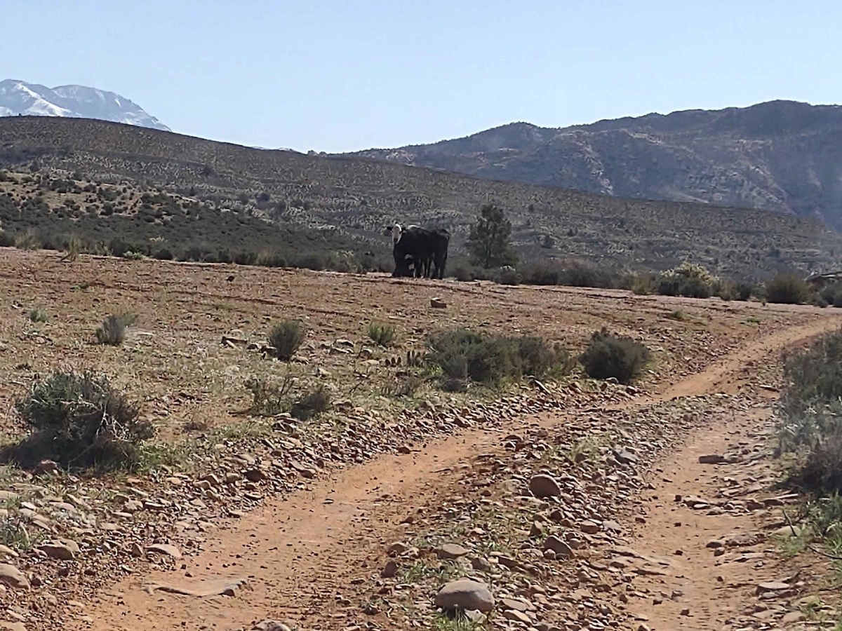 Gunlock Falls Backside photo 5