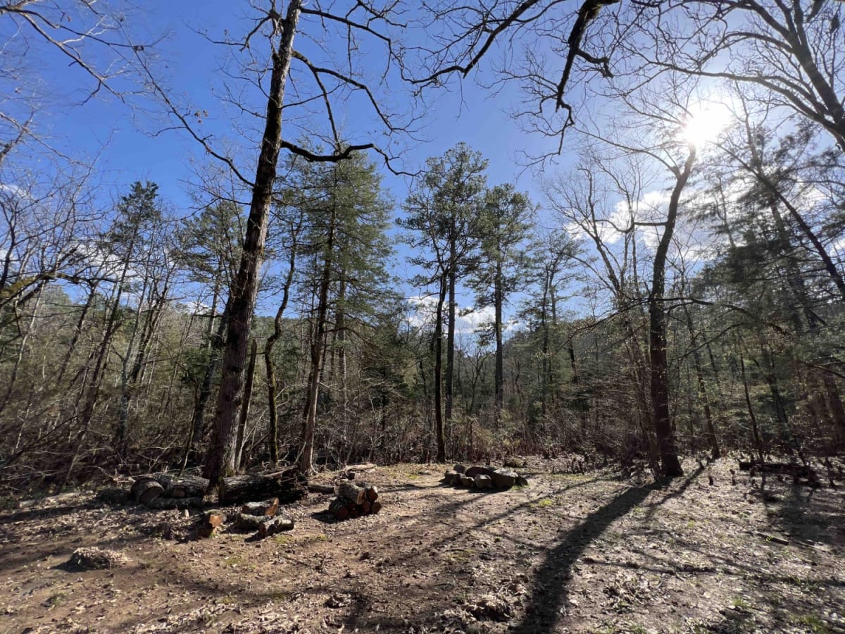 West Gafford 776 trail photo