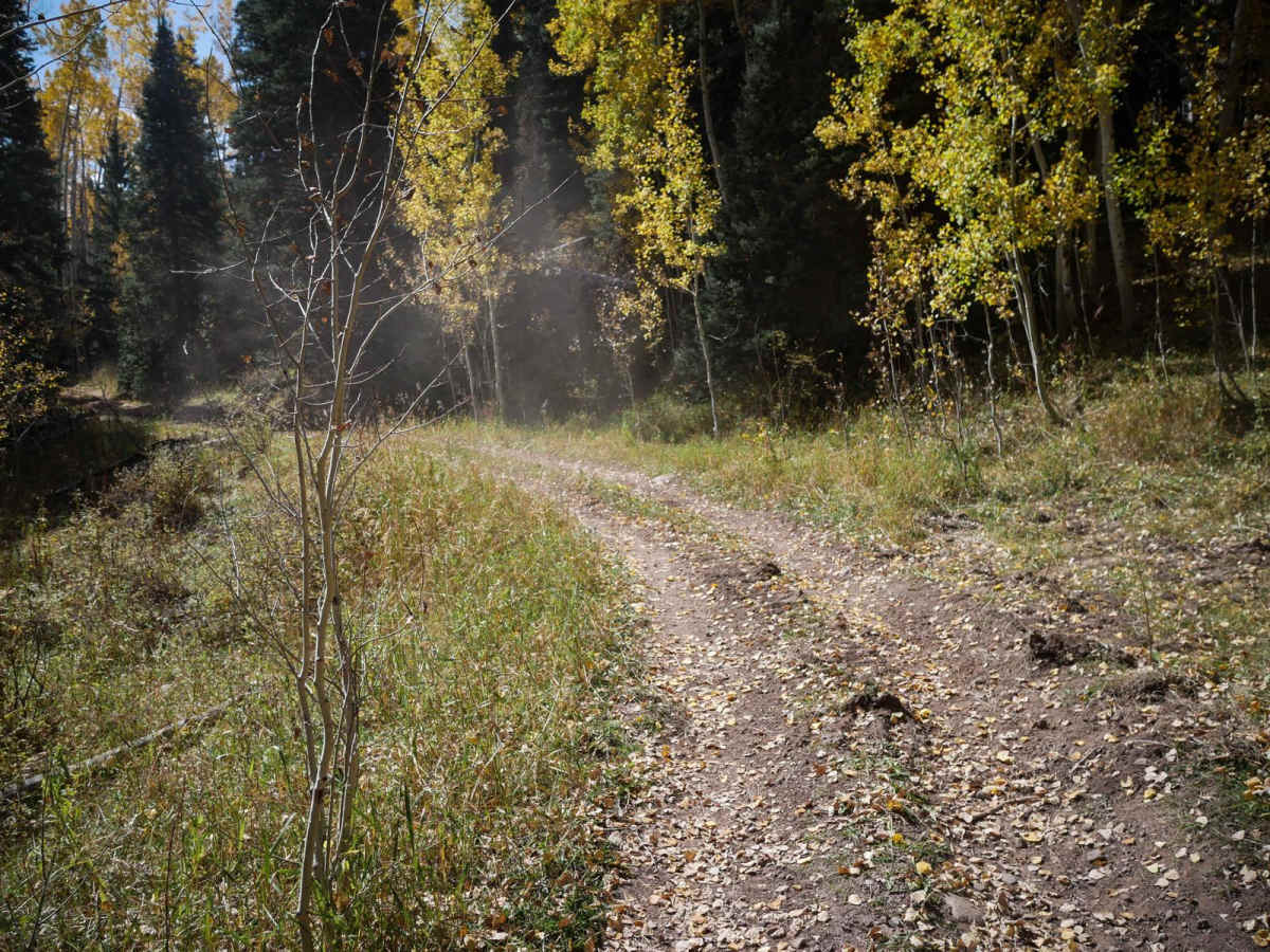 Fox Creek ATV photo 5