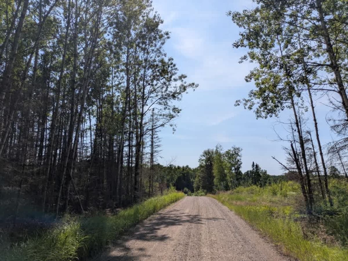 West Branch Trail photo 6