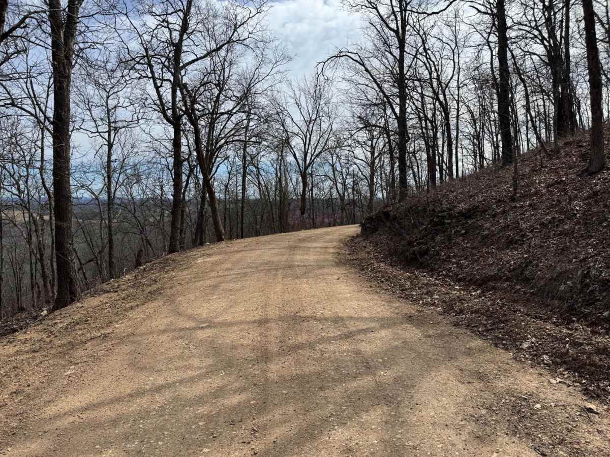 County Road 943 photo 3