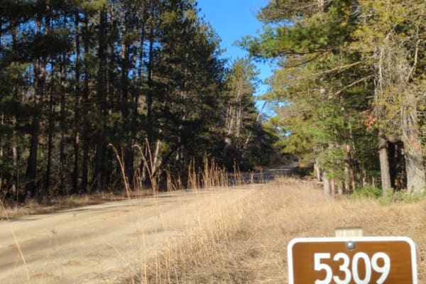 Manistee National Forest Roads 5309-5363