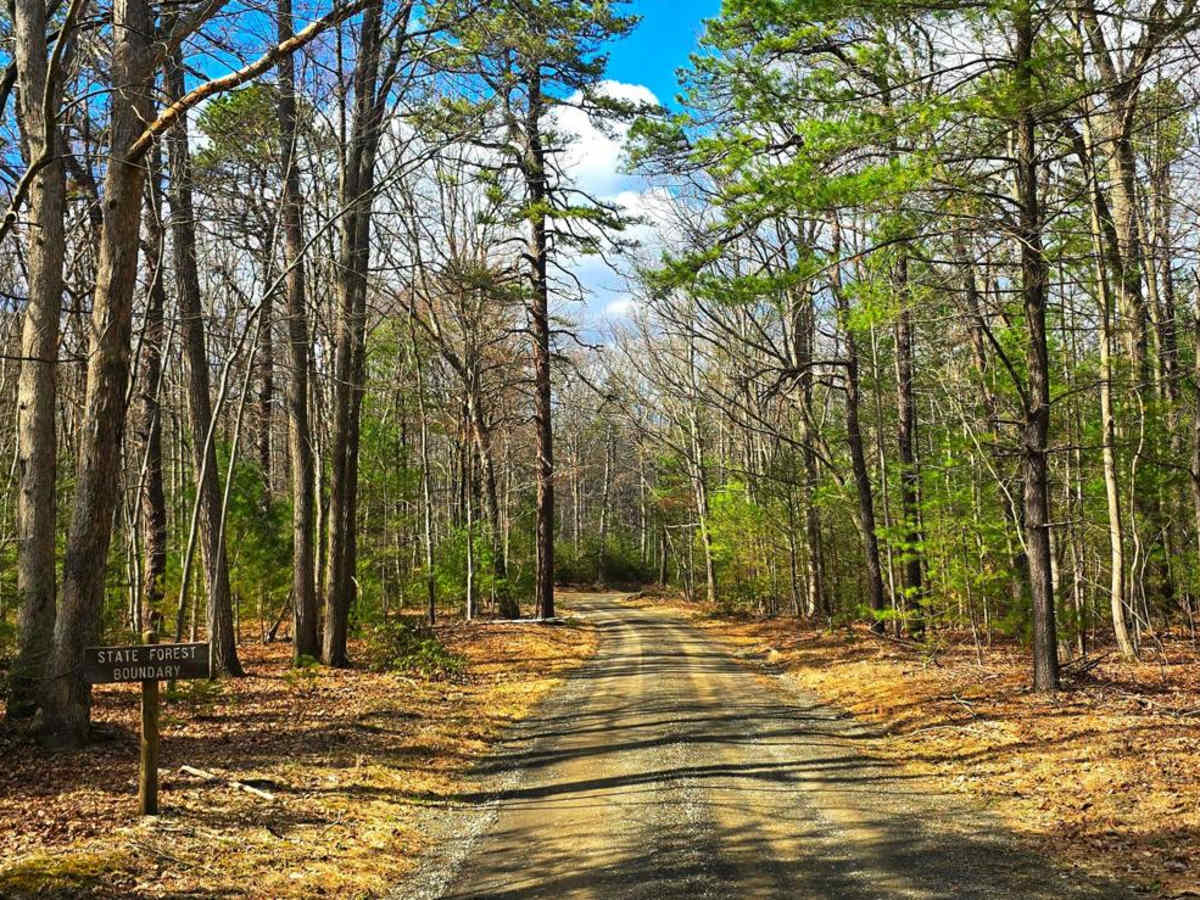 Carbaugh Road photo 4