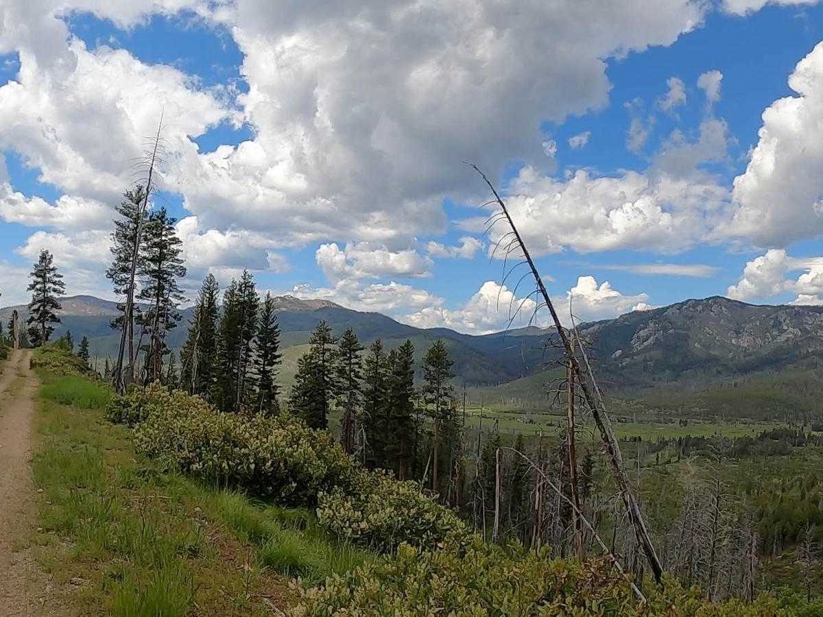 Boise National Forest #254 McCann Trail photo 2
