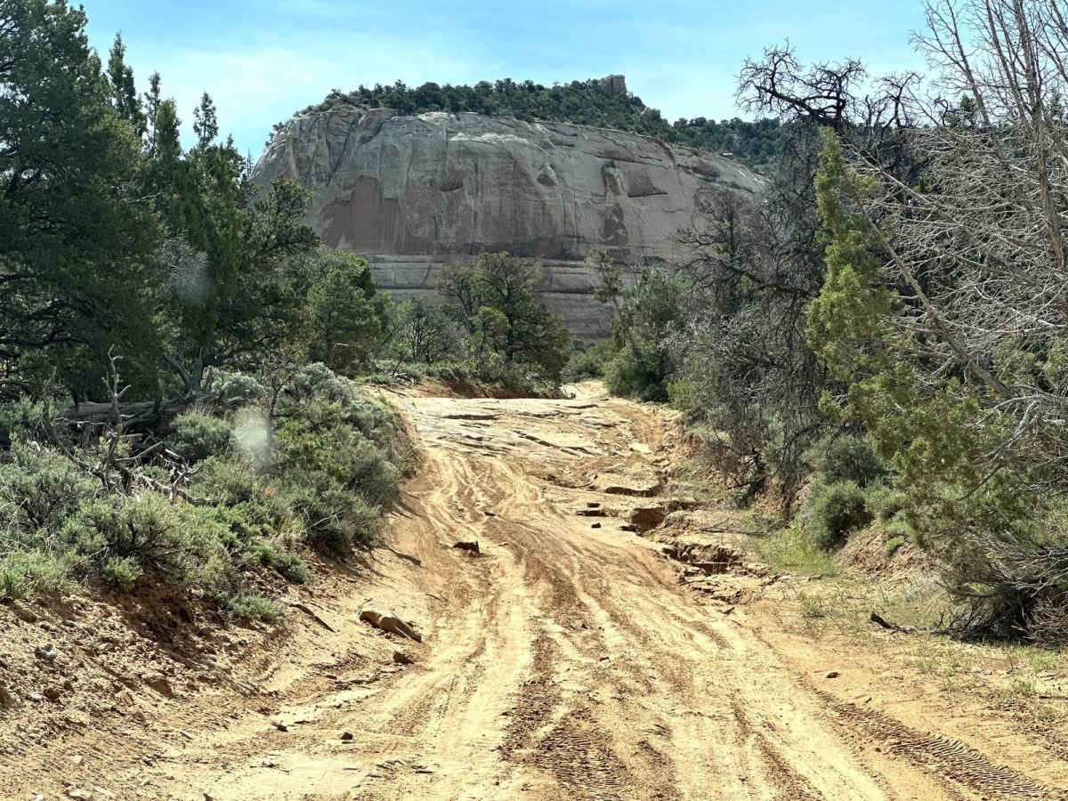 Kokopelli Trail (Onion Creek to Andy Mesa) photo 6