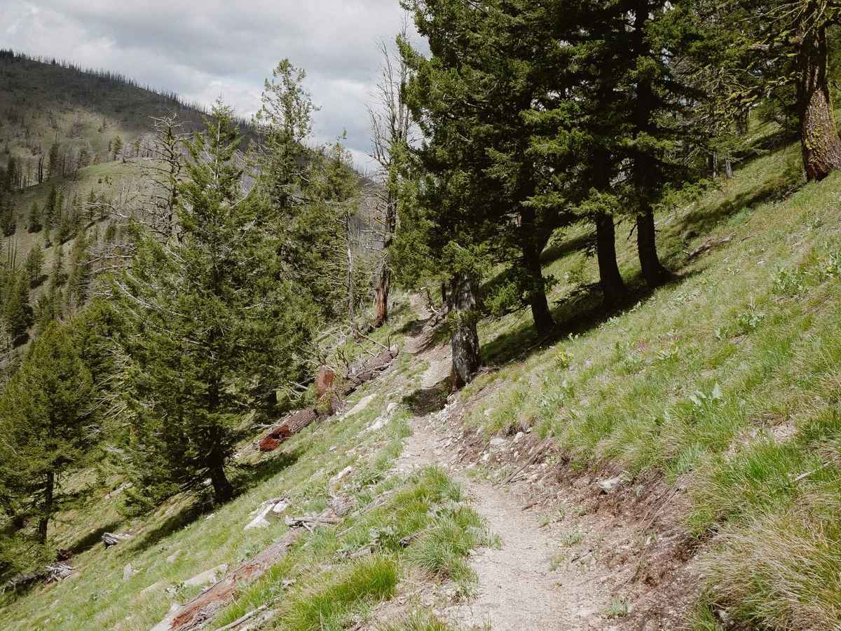 Continental Divide NST photo 2