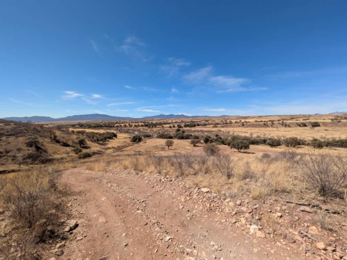 Chuparosa Road photo 2
