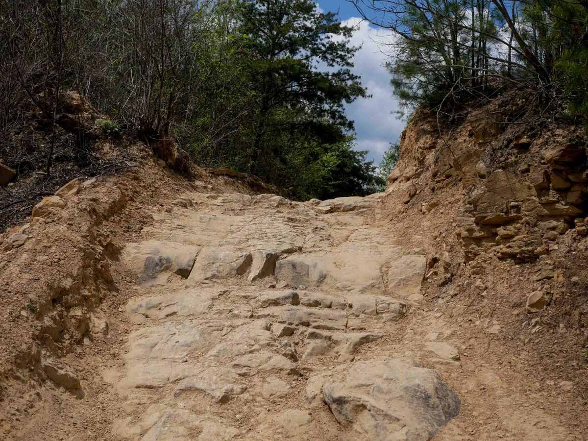 P83 trail photo