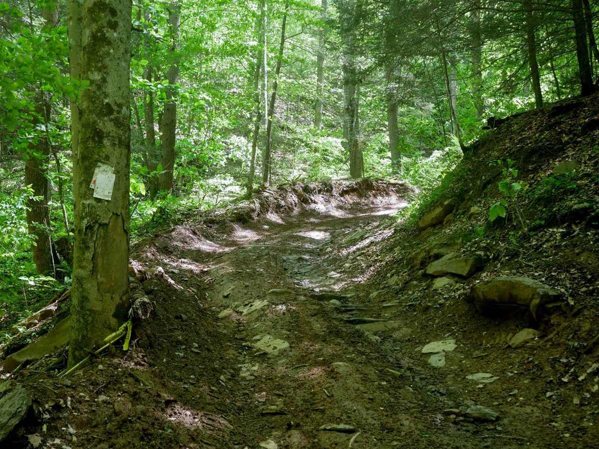 Trail 24 photo 5