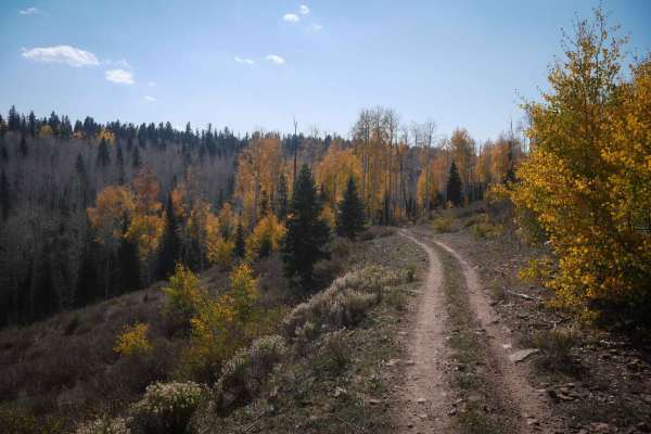 East Fork Dry Creek ATV Trail