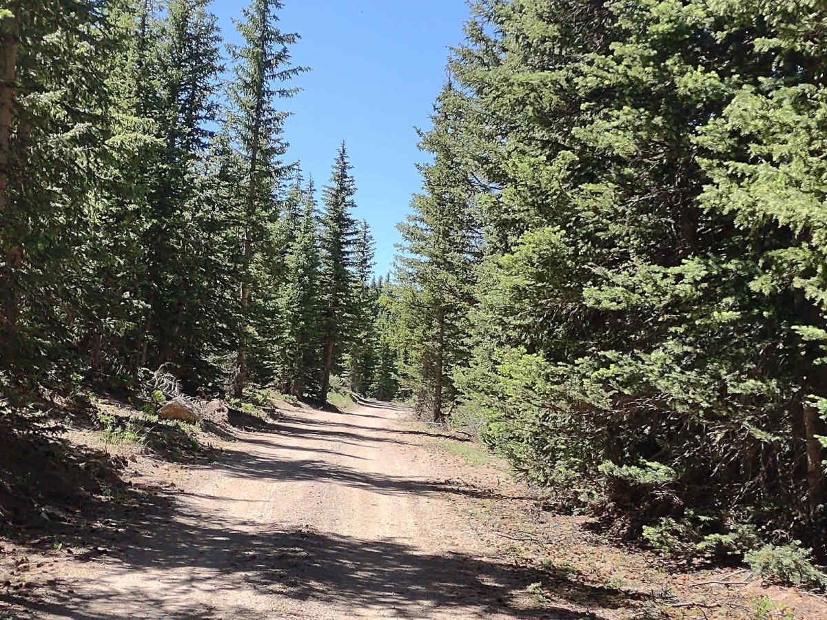 Rigger to Puffer Lake (FS 40129/PST 29) photo 6