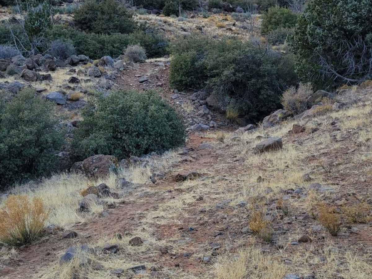 BLM 1606 photo 6