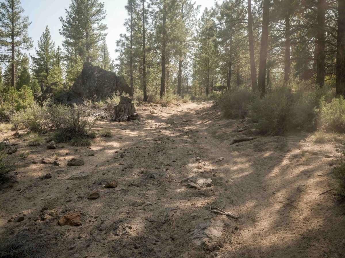 22 trail photo