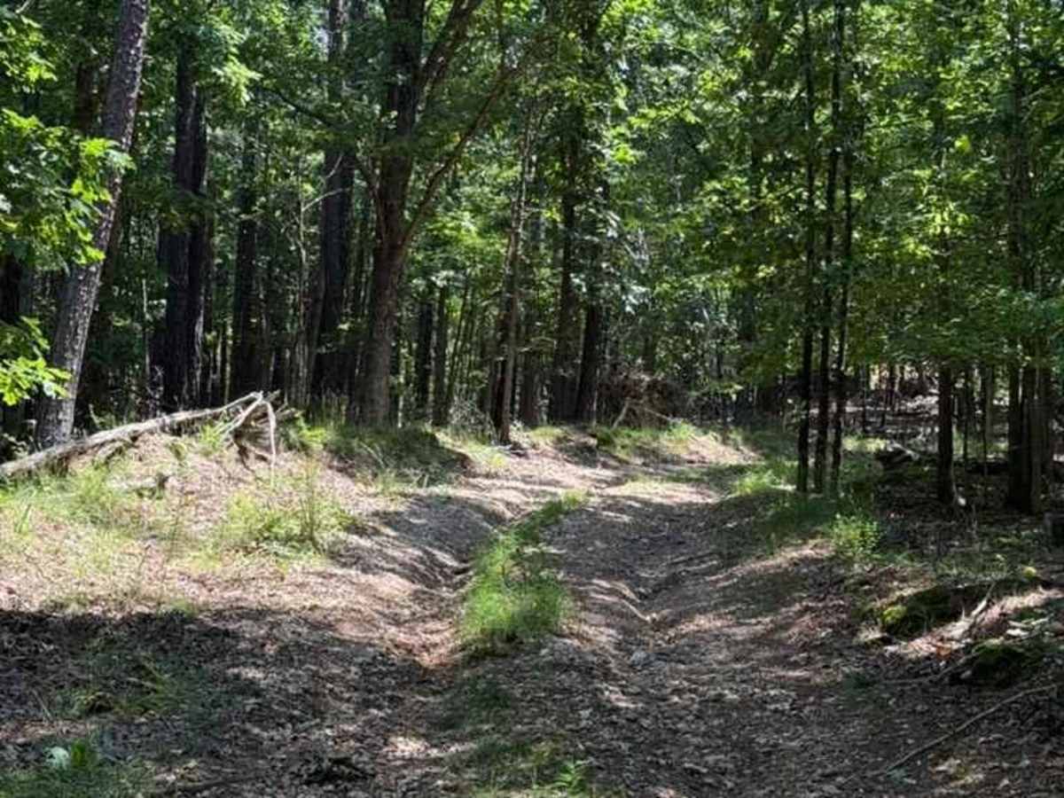 Blake's Trail photo 5