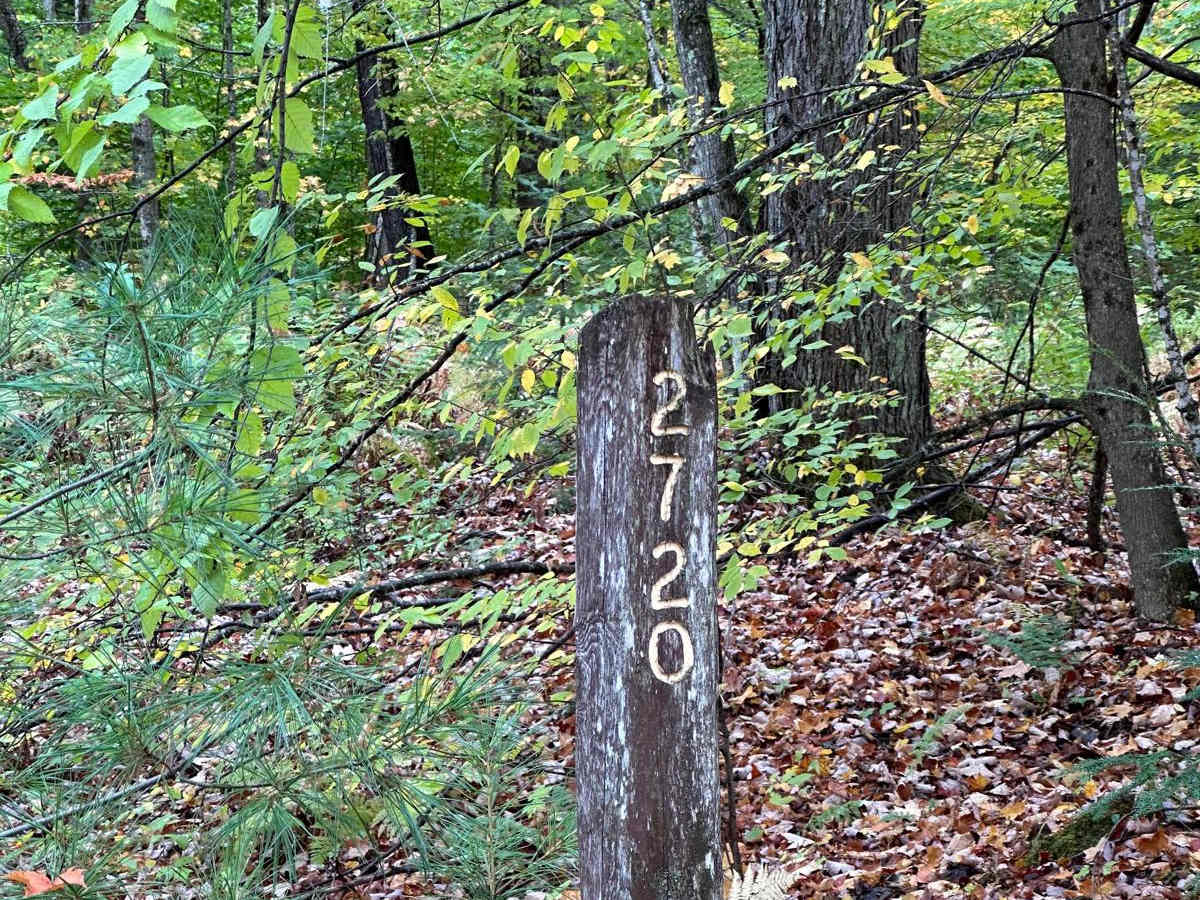 FS 2720 trail photo