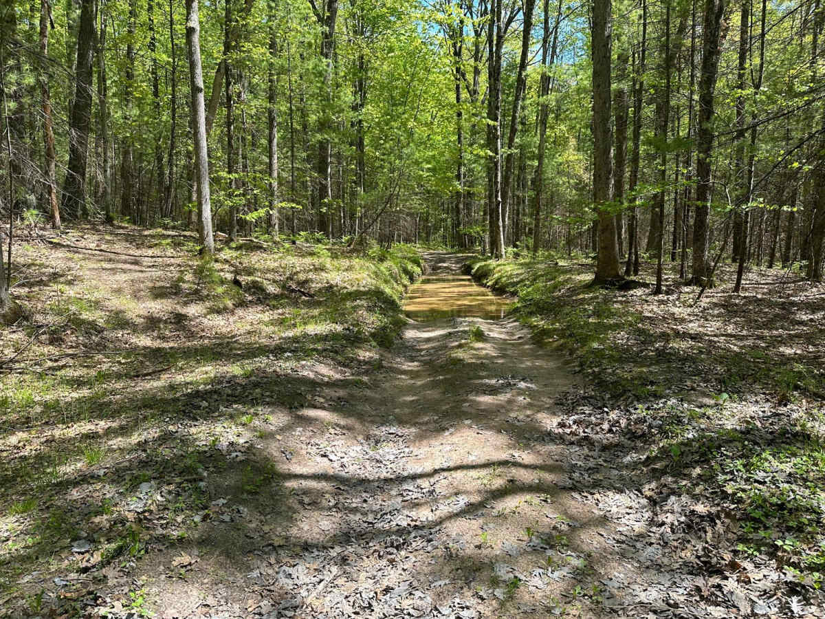 Good Road - FS 8160 trail photo