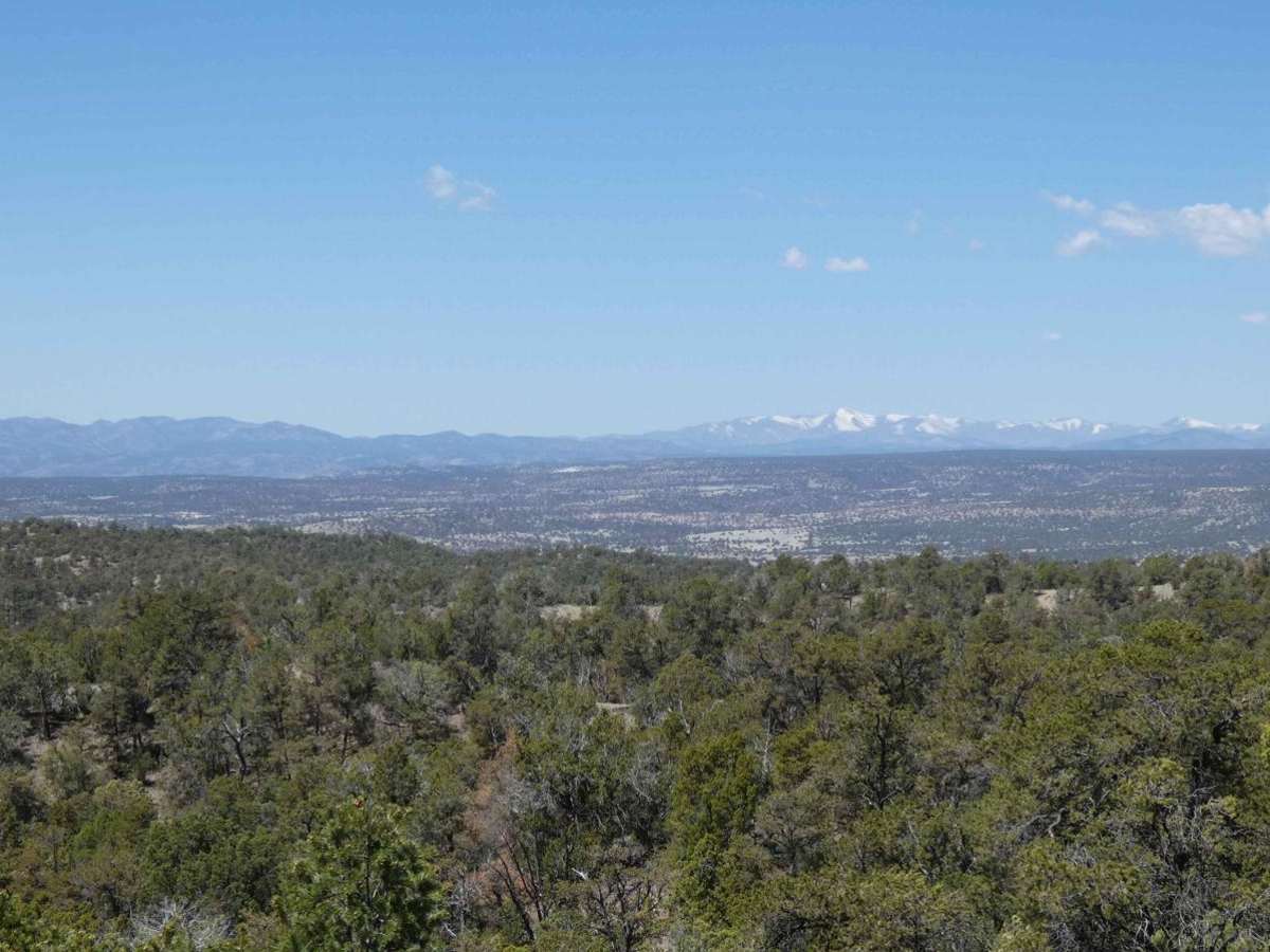North Star - Sapillo to Chloride Canyon trail photo