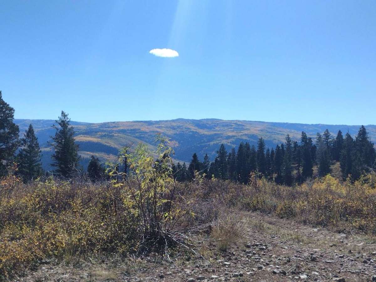 Cedar Hollow OHV Trail FS 80203 photo 6