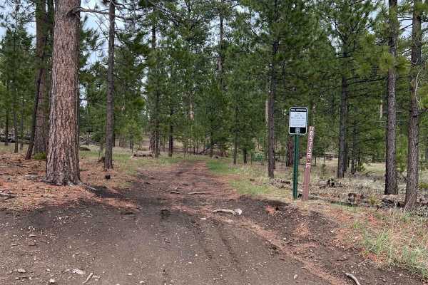 Benchmark Trail