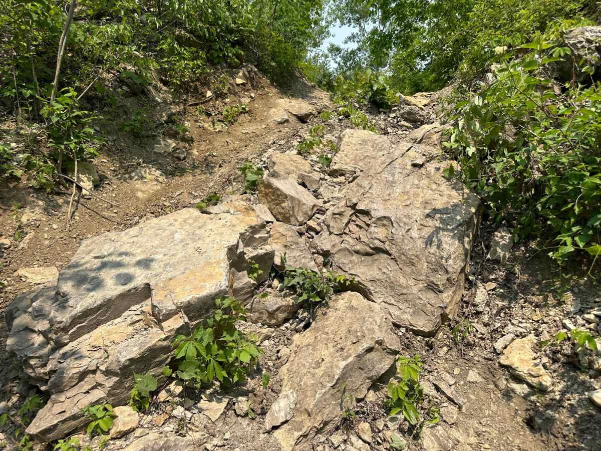 Skid Plate 116 photo 6