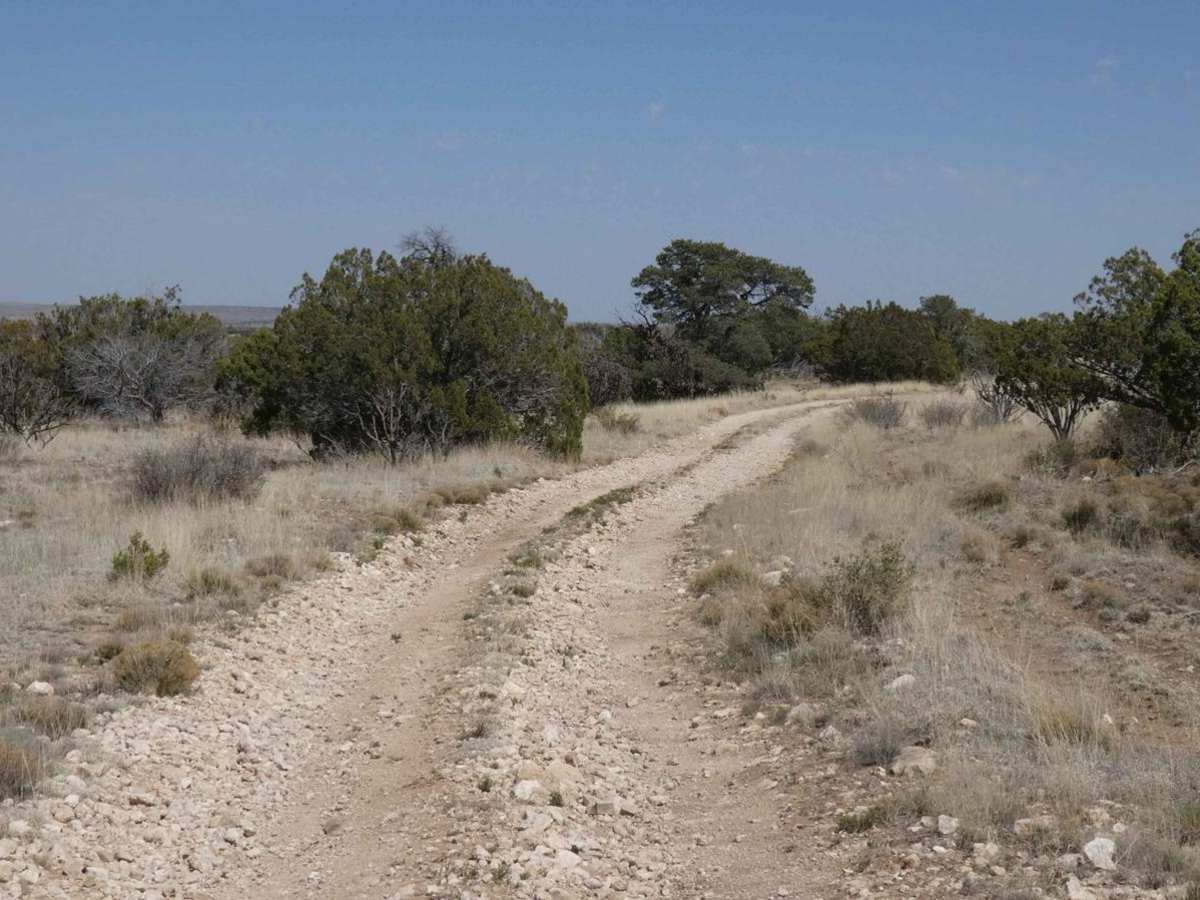 Rawhide photo 4